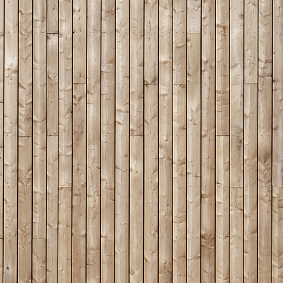 04 Scottish Larch